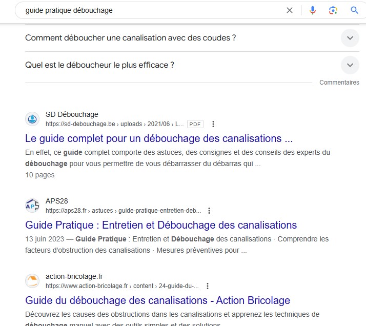 guide pratique debouchage Referencement blueseodesign