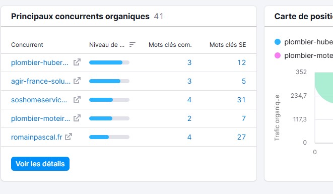 vue ensemble semrush 2 - Guide referencement seo naturel Blueseodesign